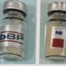 BỘT XƯƠNG SINH HỌC NB